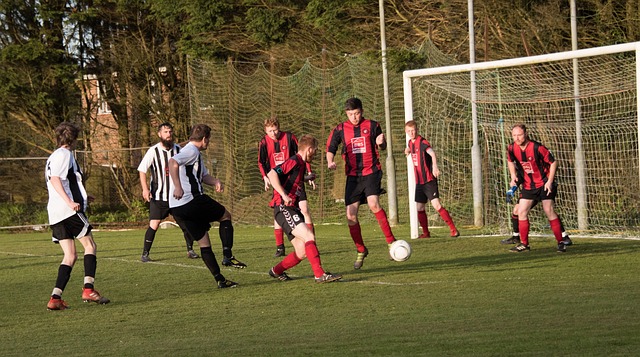 的运作可能 的运作可能