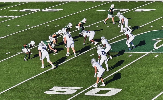 张之臻将积 张之臻将积