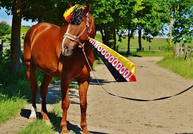 我们对几位 我们对几位
