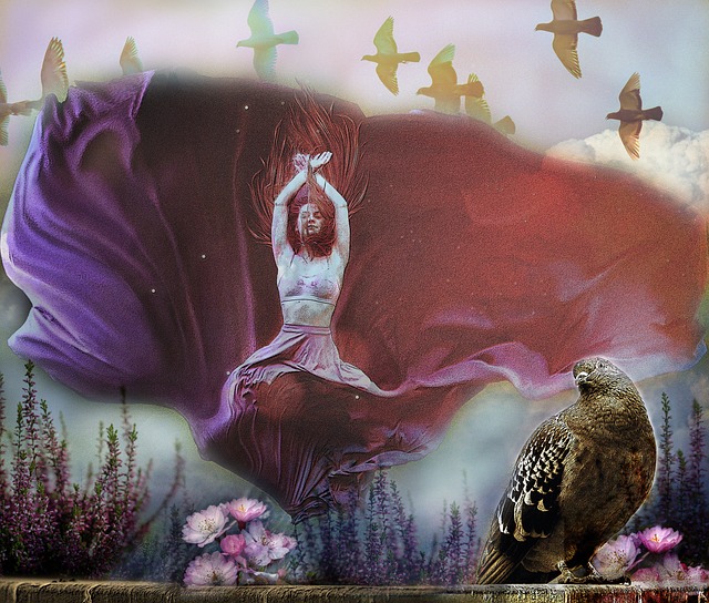 其中多伦多 其中多伦多